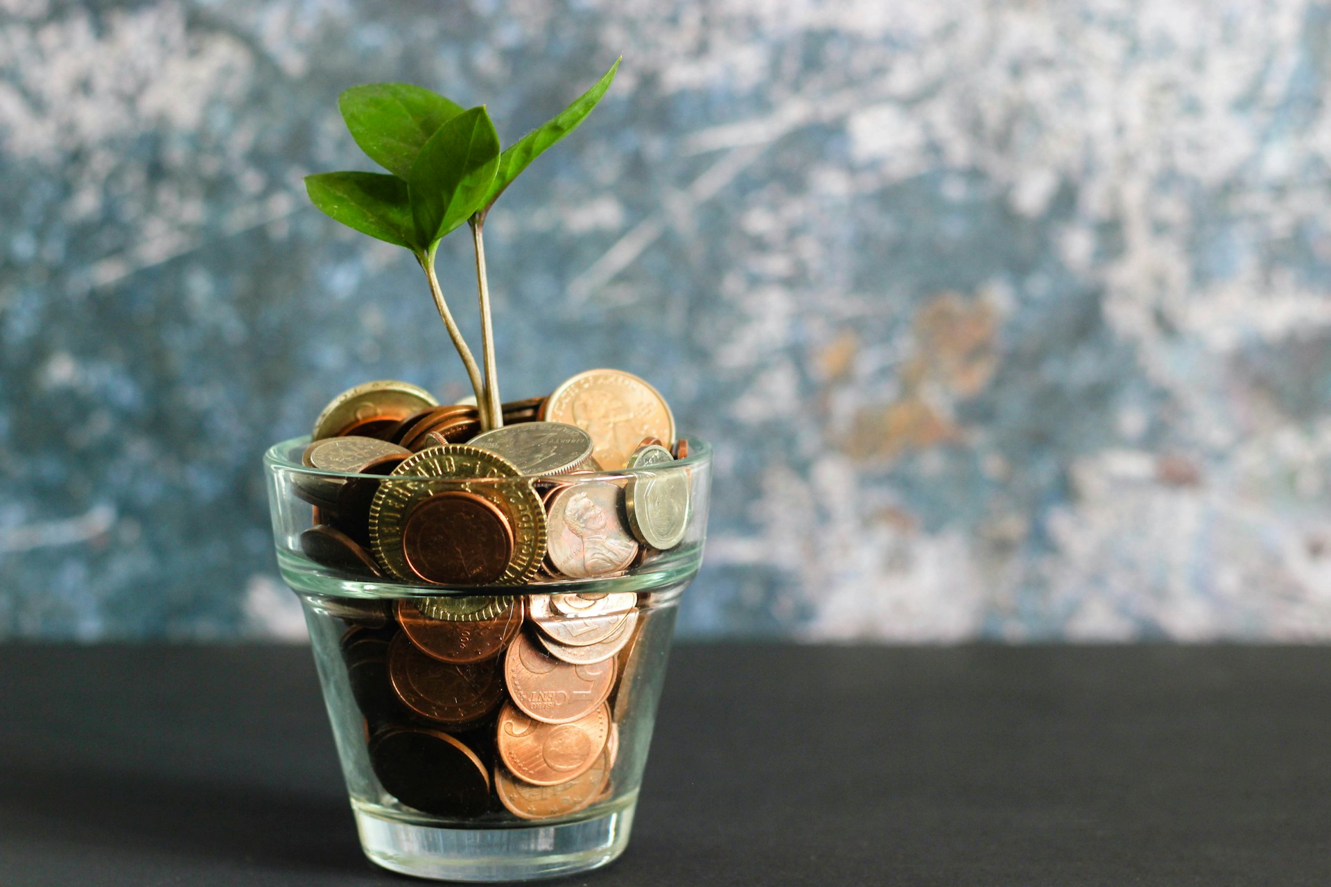les finances crédit photo: @unsplash micheile henderson