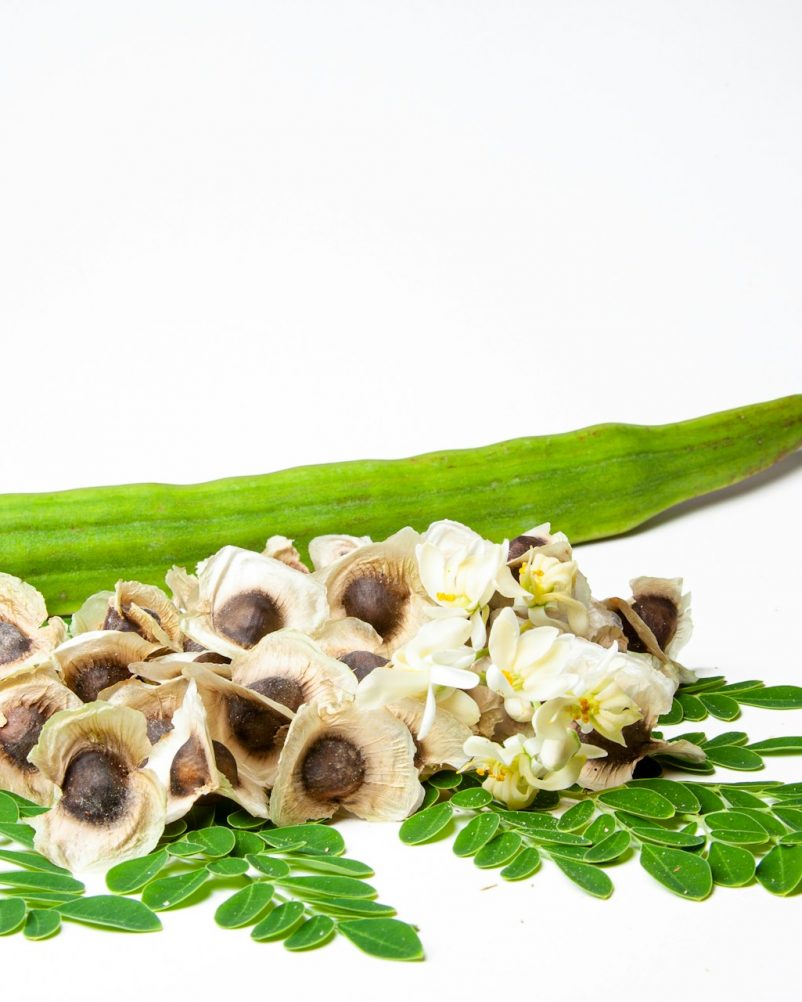 Moringa crédit photo: Adrian Dale sur Unsplash