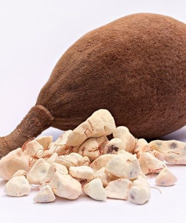 Le fruit du baobab crédit photo:@Pinterest
